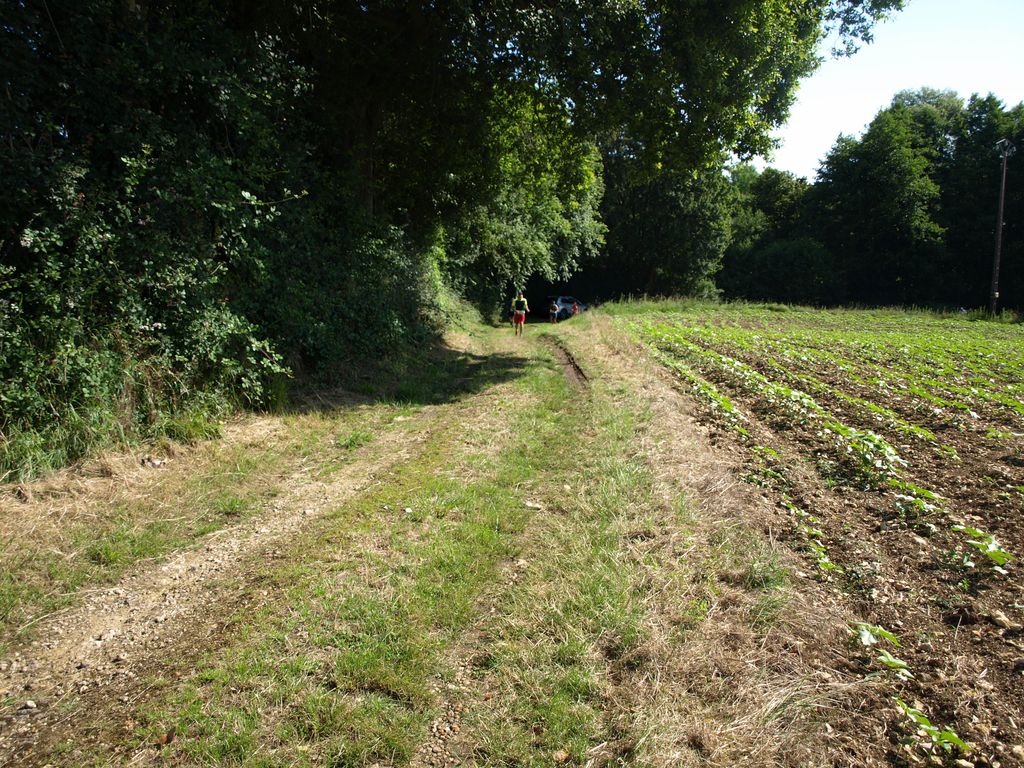 P1017335.JPG