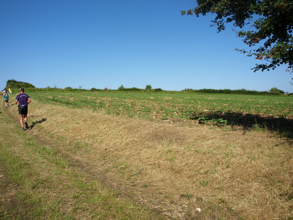 P1017347.JPG