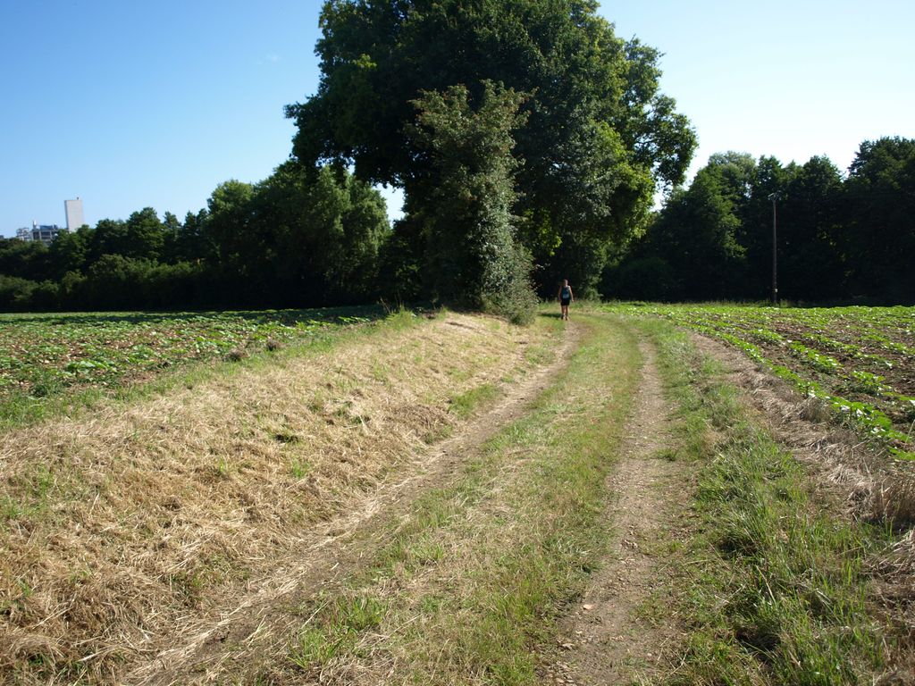 P1017359.JPG
