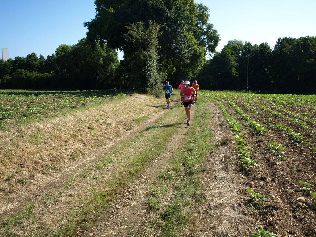 P1017375.JPG