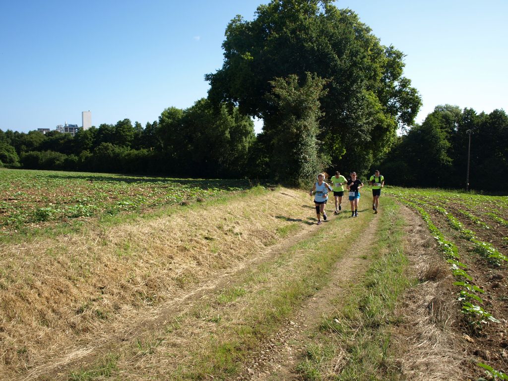 P1017385.JPG