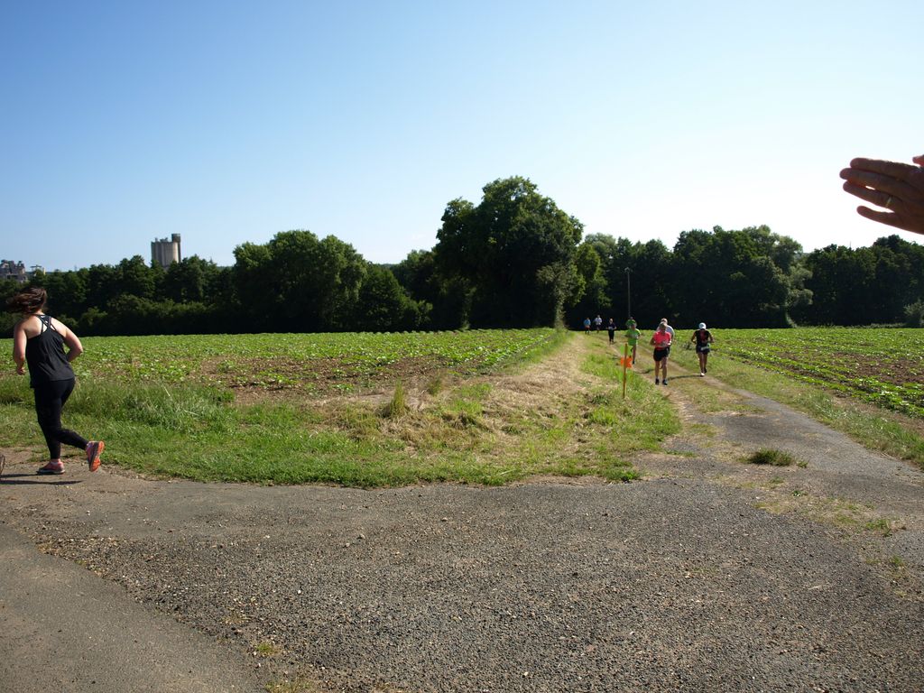 P1017440.JPG