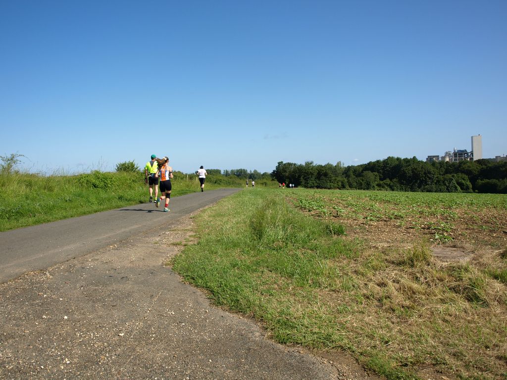 P1017466.JPG