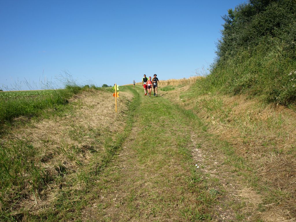 P1017498.JPG