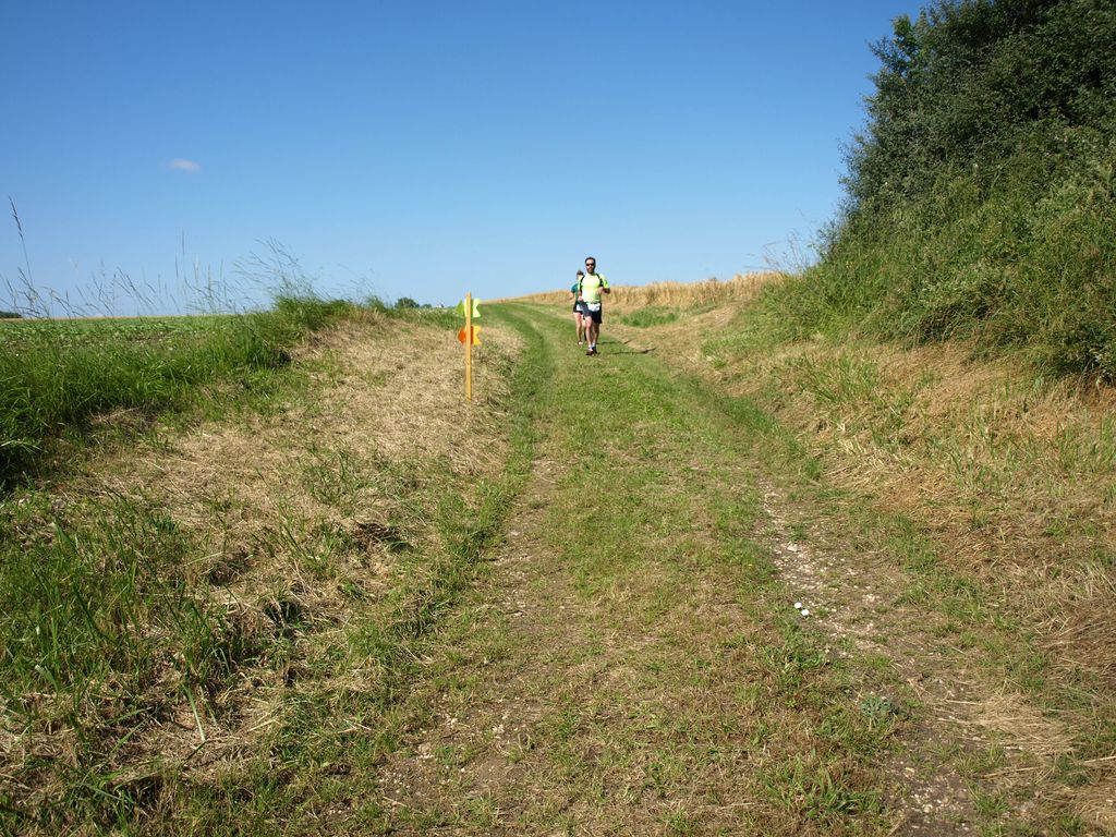 P1017514.JPG
