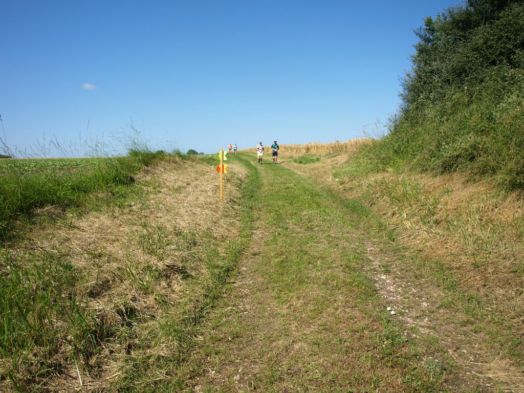 P1017518.JPG