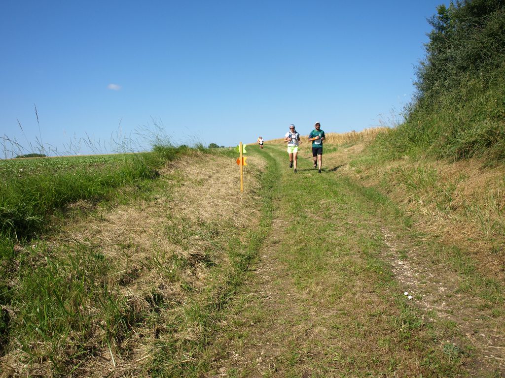 P1017521.JPG