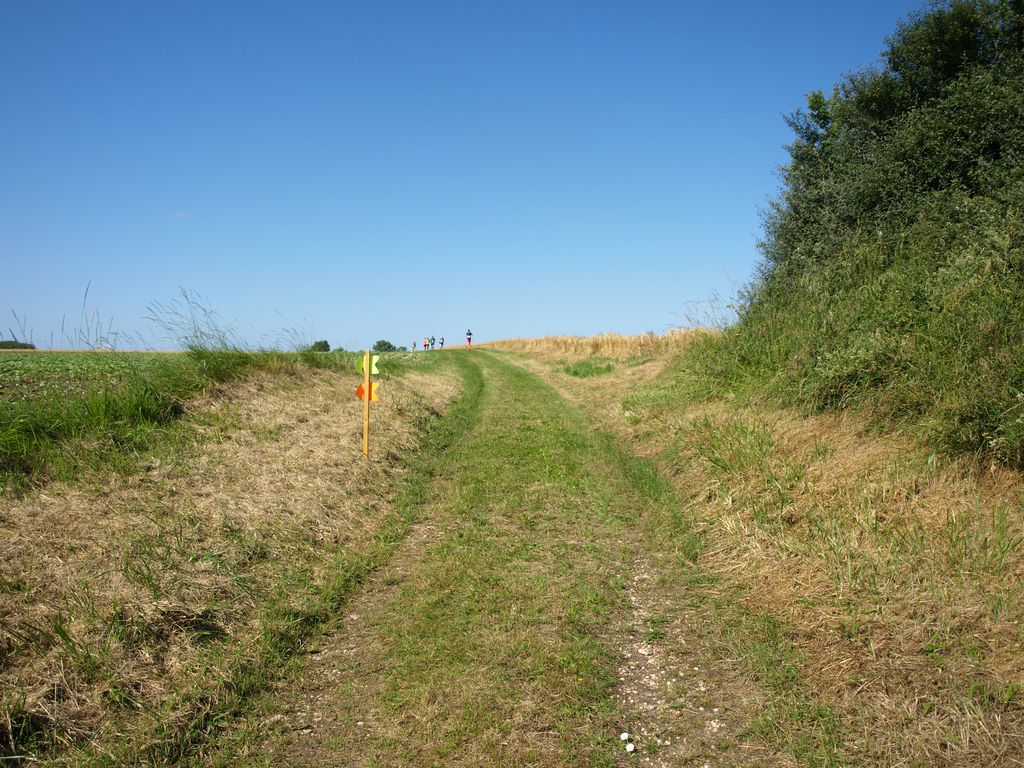 P1017539.JPG