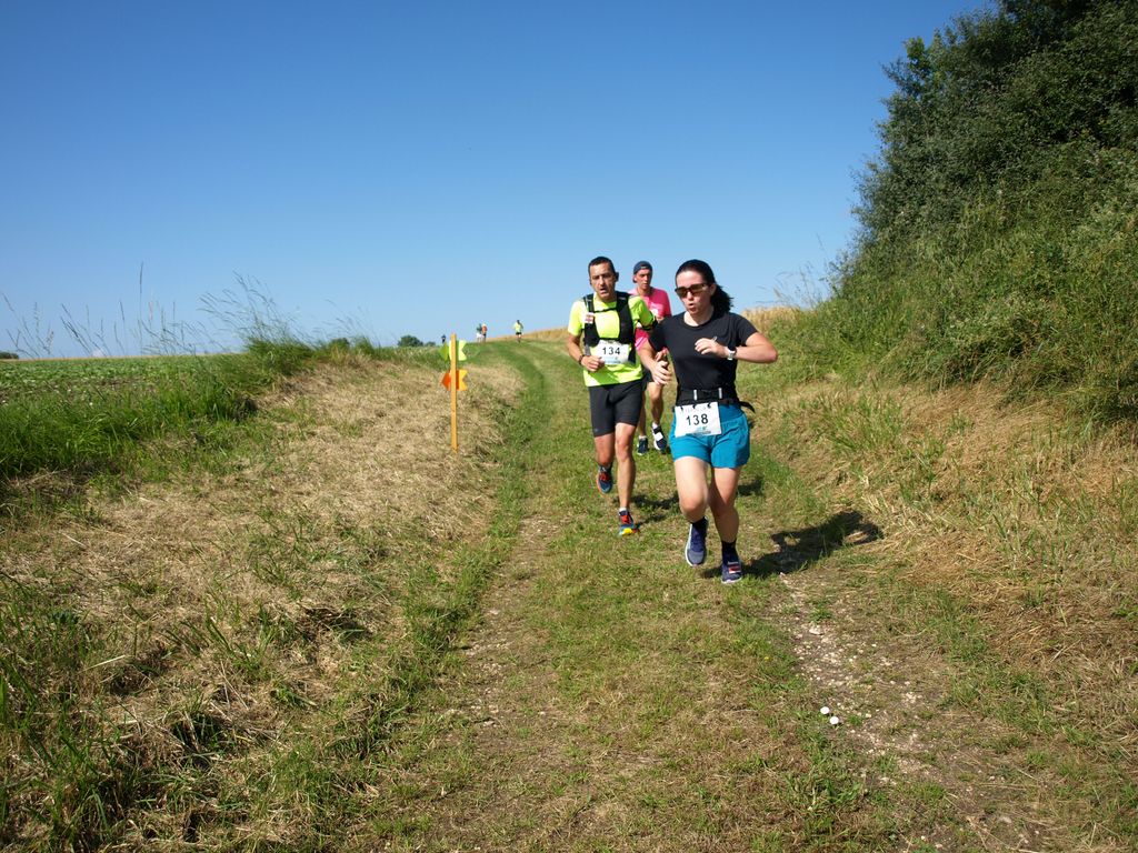 P1017552.JPG