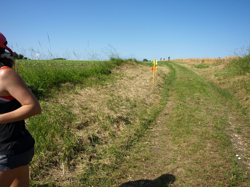 P1017573.JPG