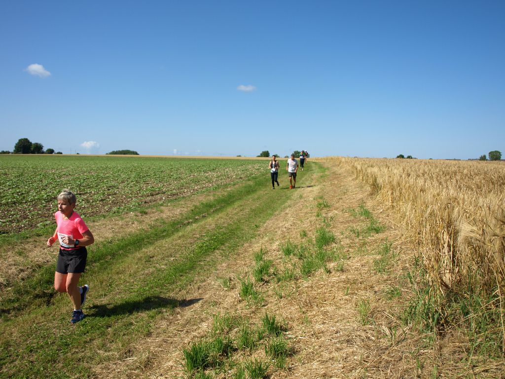 P1017587.JPG