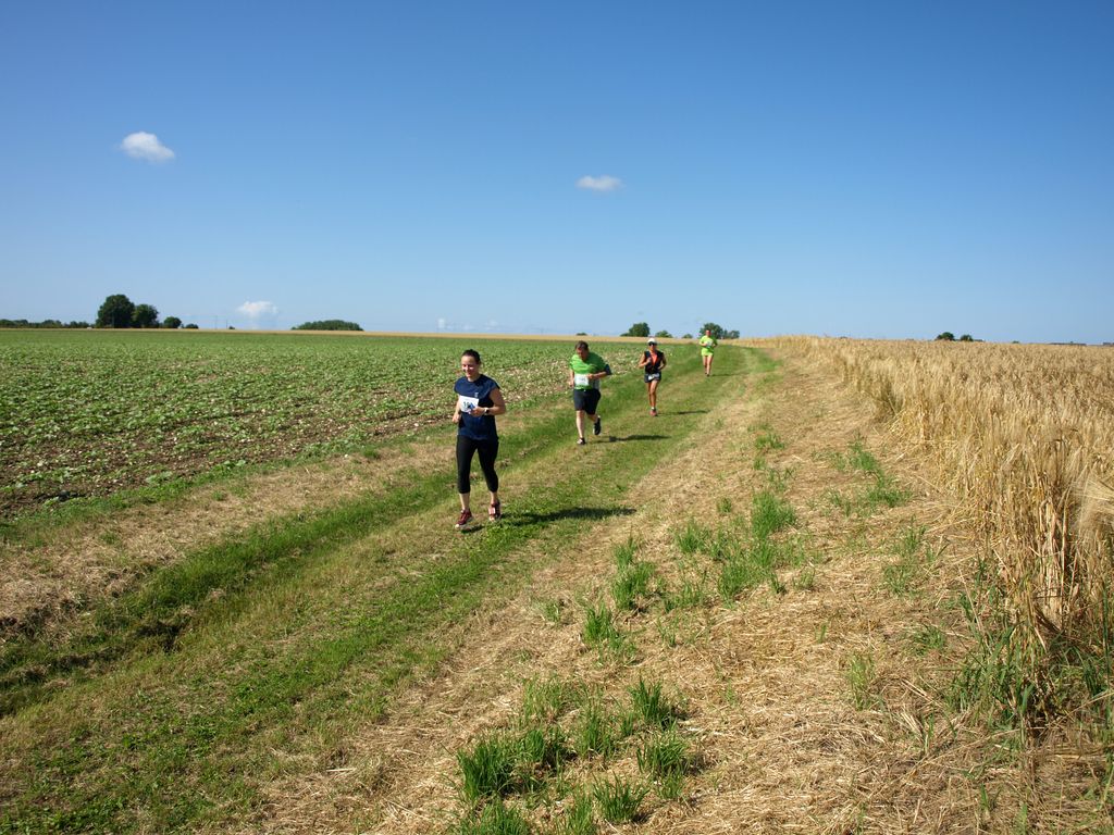 P1017600.JPG