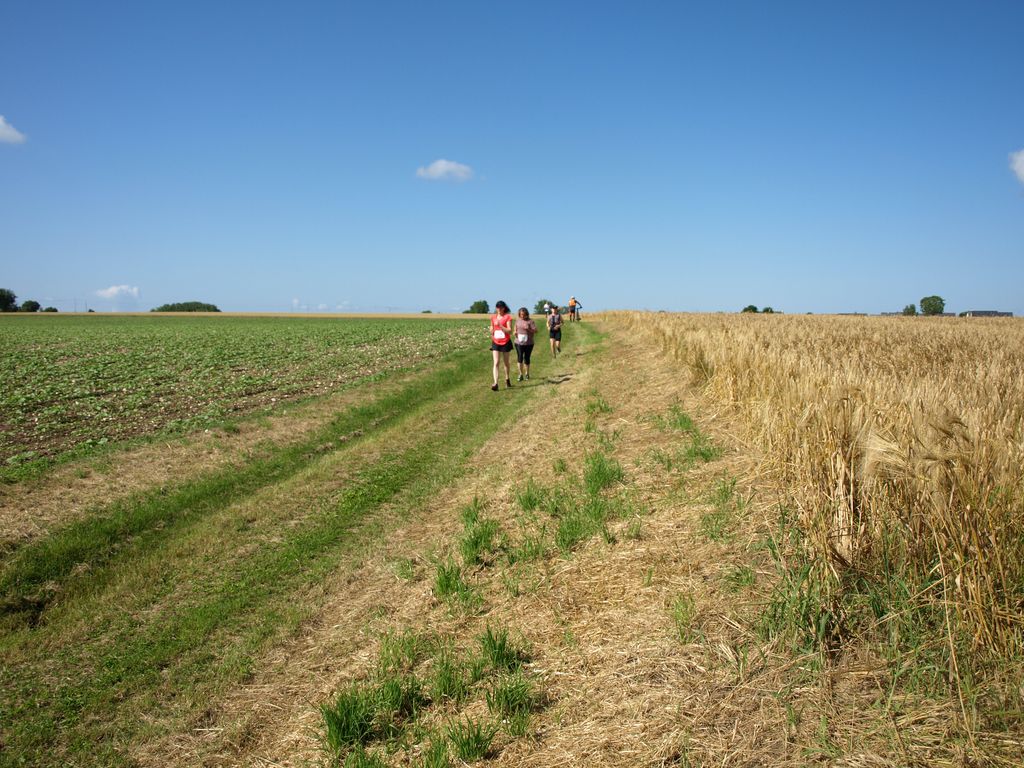 P1017613.JPG