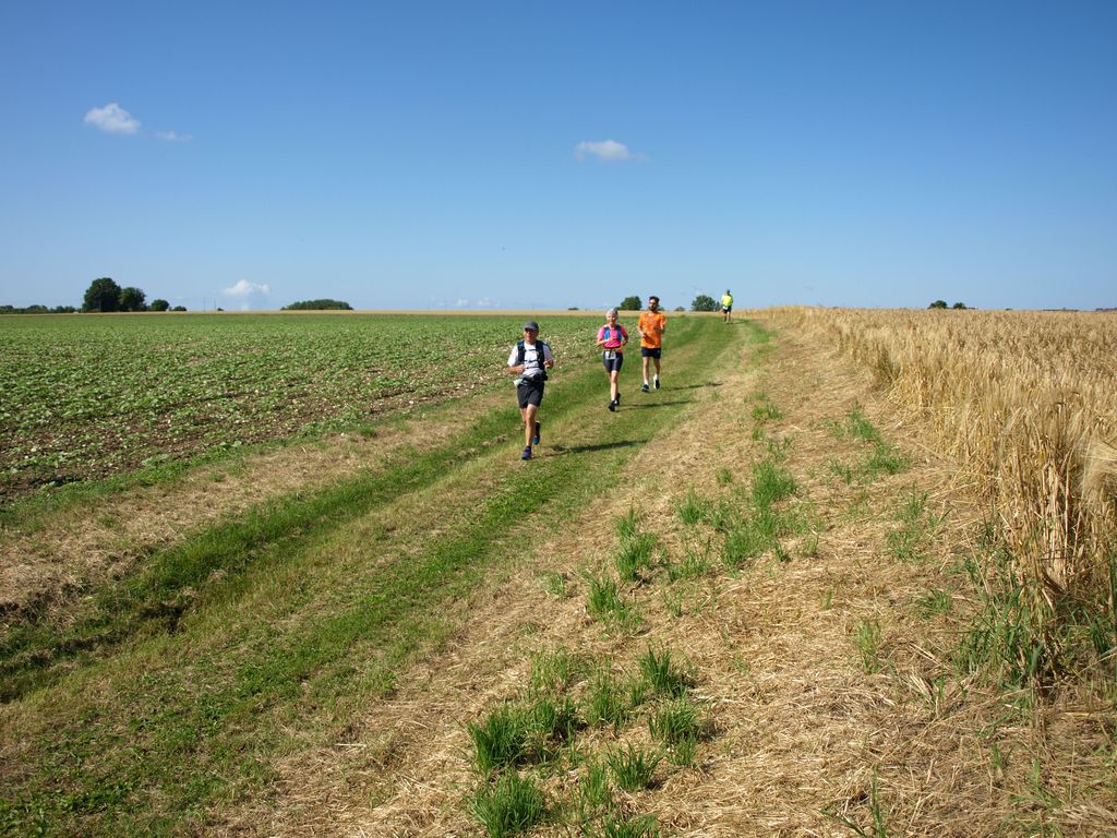 P1017630.JPG