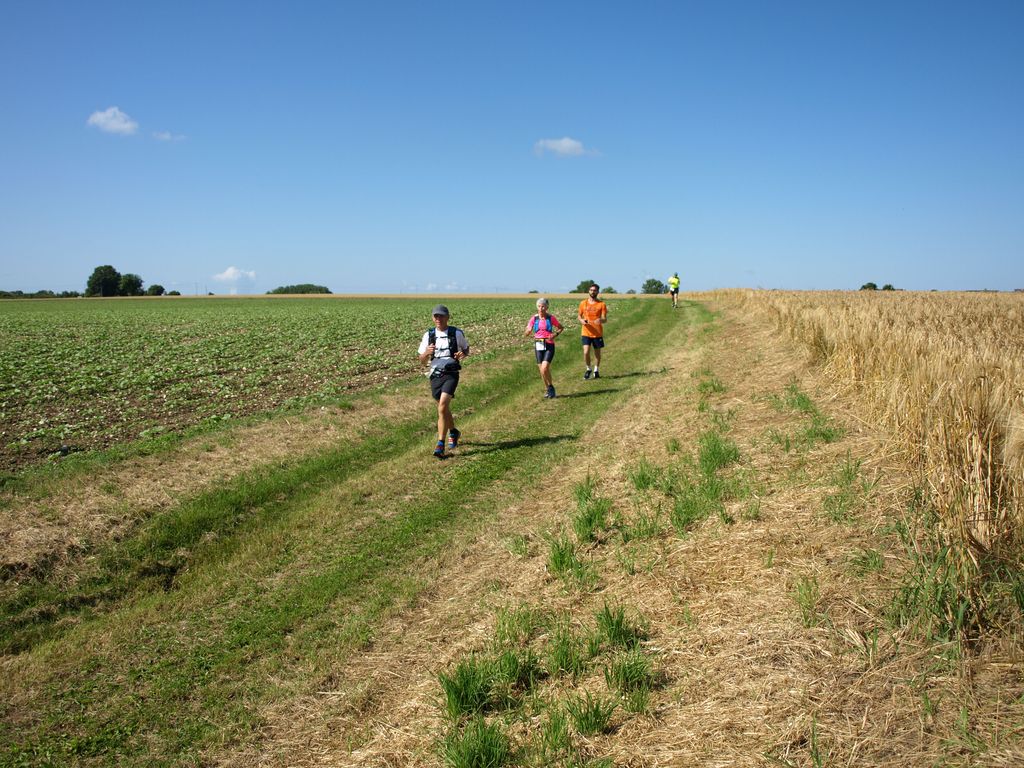 P1017632.JPG