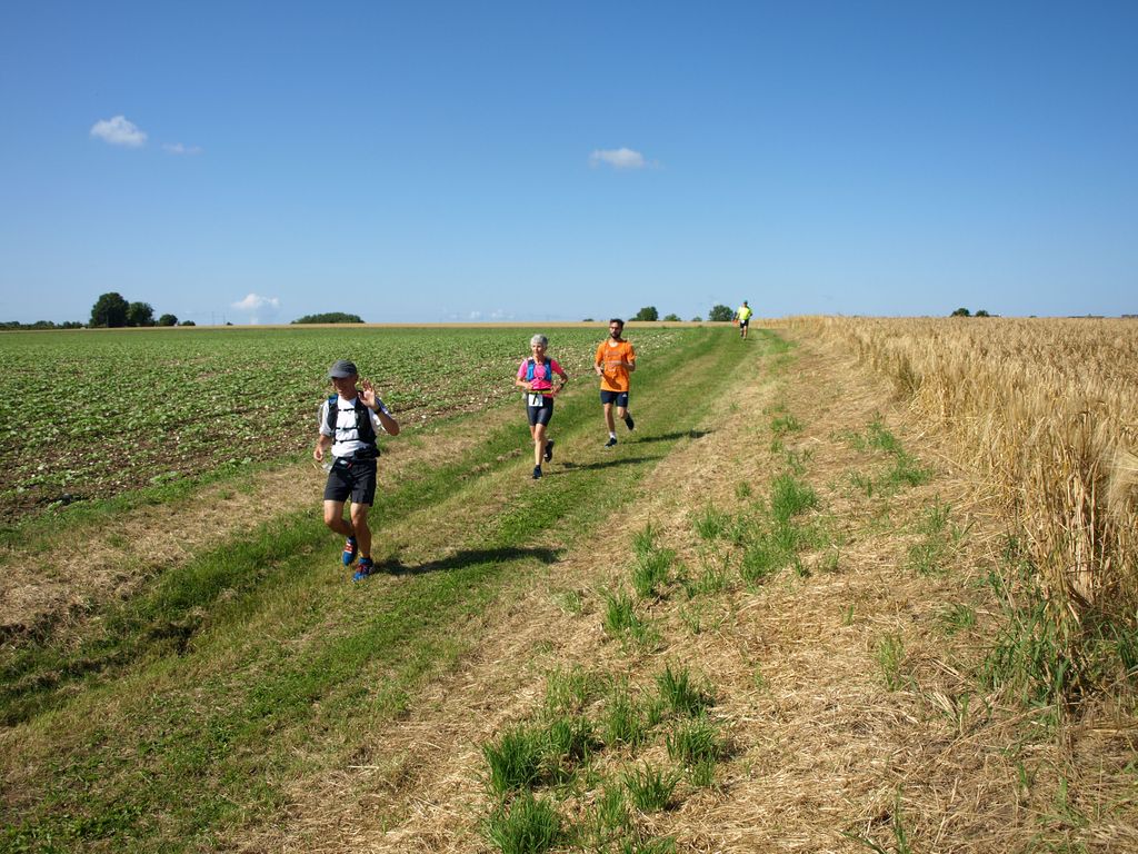 P1017635.JPG