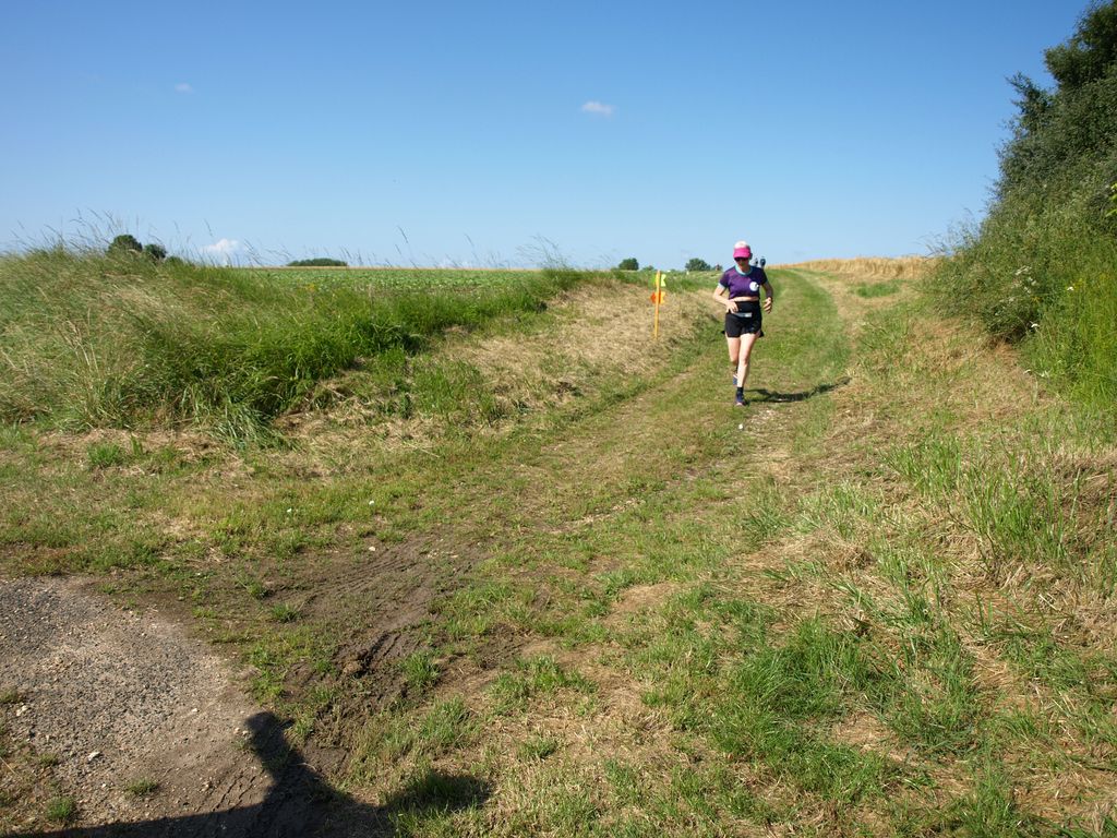 P1017648.JPG