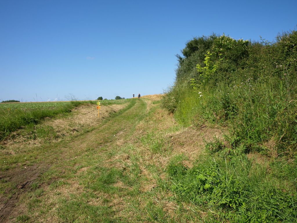 P1017649.JPG