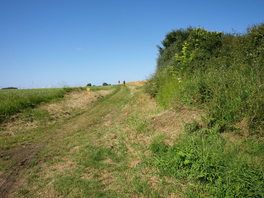 P1017650.JPG