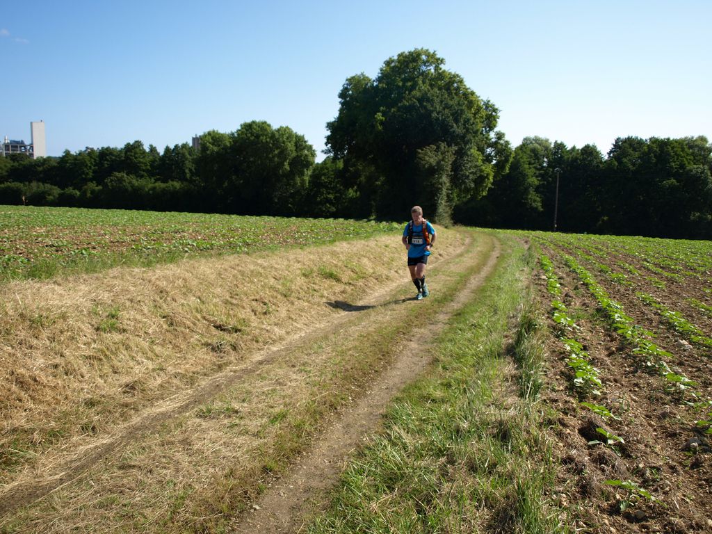 P1017667.JPG