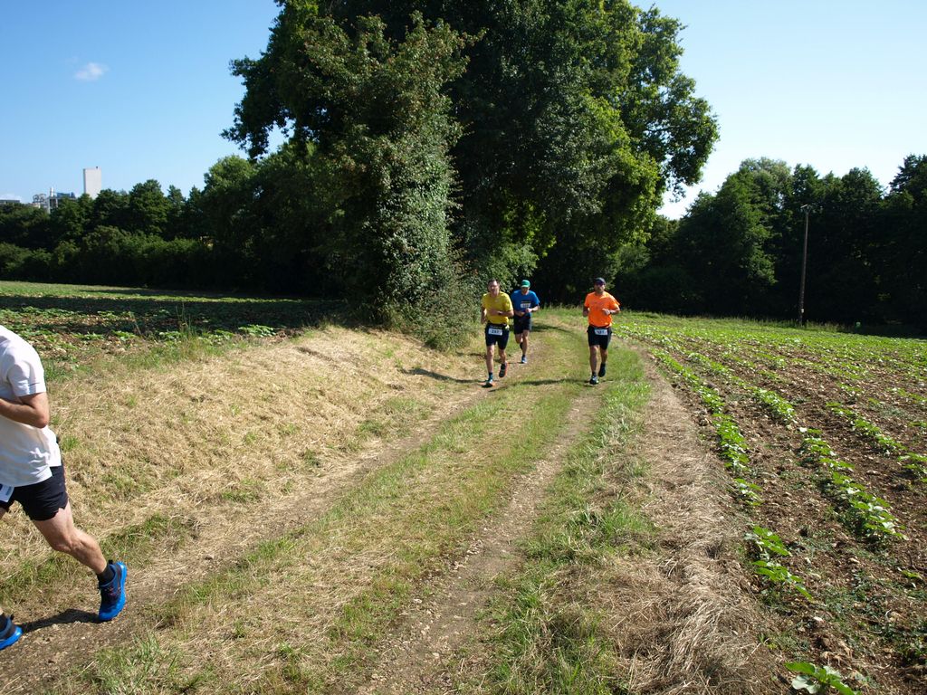 P1017682.JPG