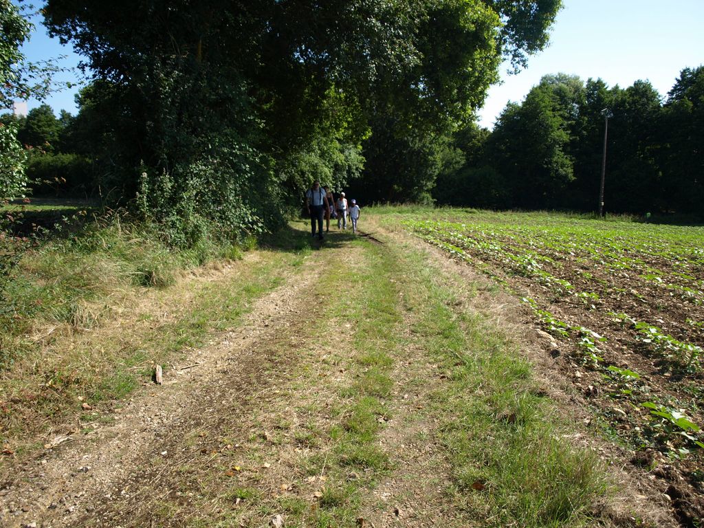 P1017684.JPG