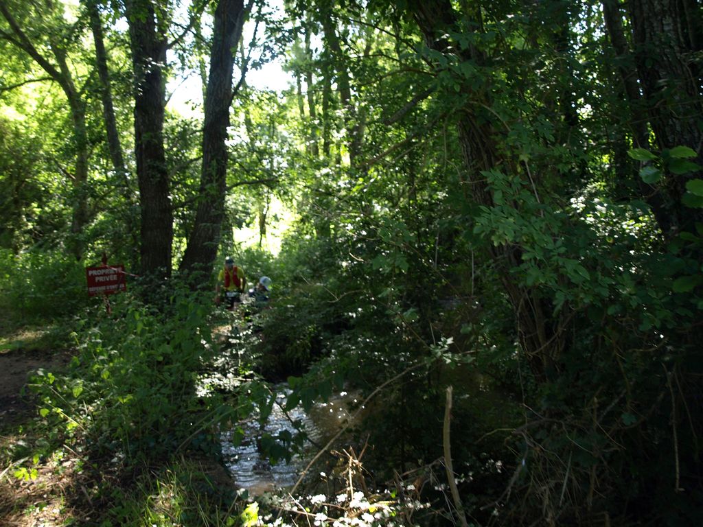 P1017733.JPG