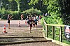 IMG_8047.jpg IMG_8047.jpg