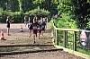 IMG_8048.jpg IMG_8048.jpg